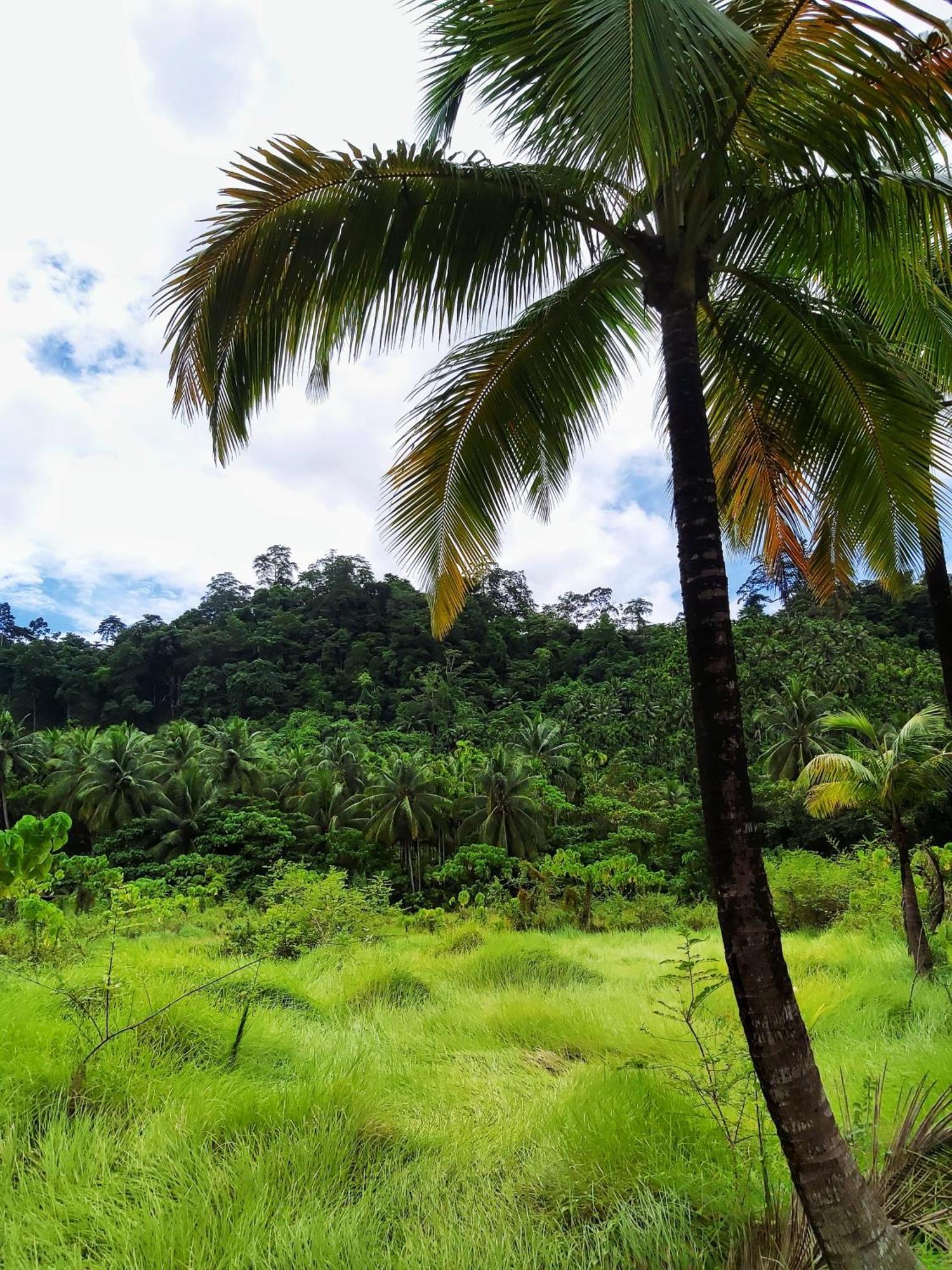 Nancowry Resort Govind Nagar Kültér fotó