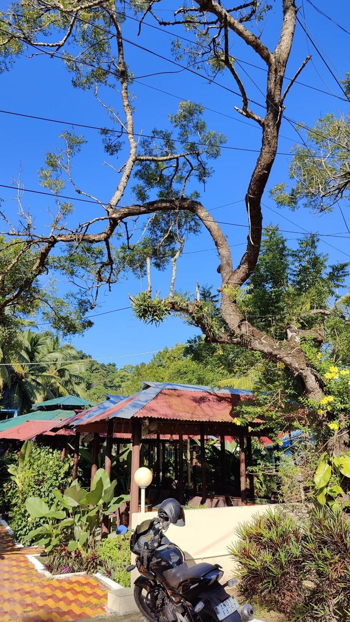 Nancowry Resort Govind Nagar Kültér fotó